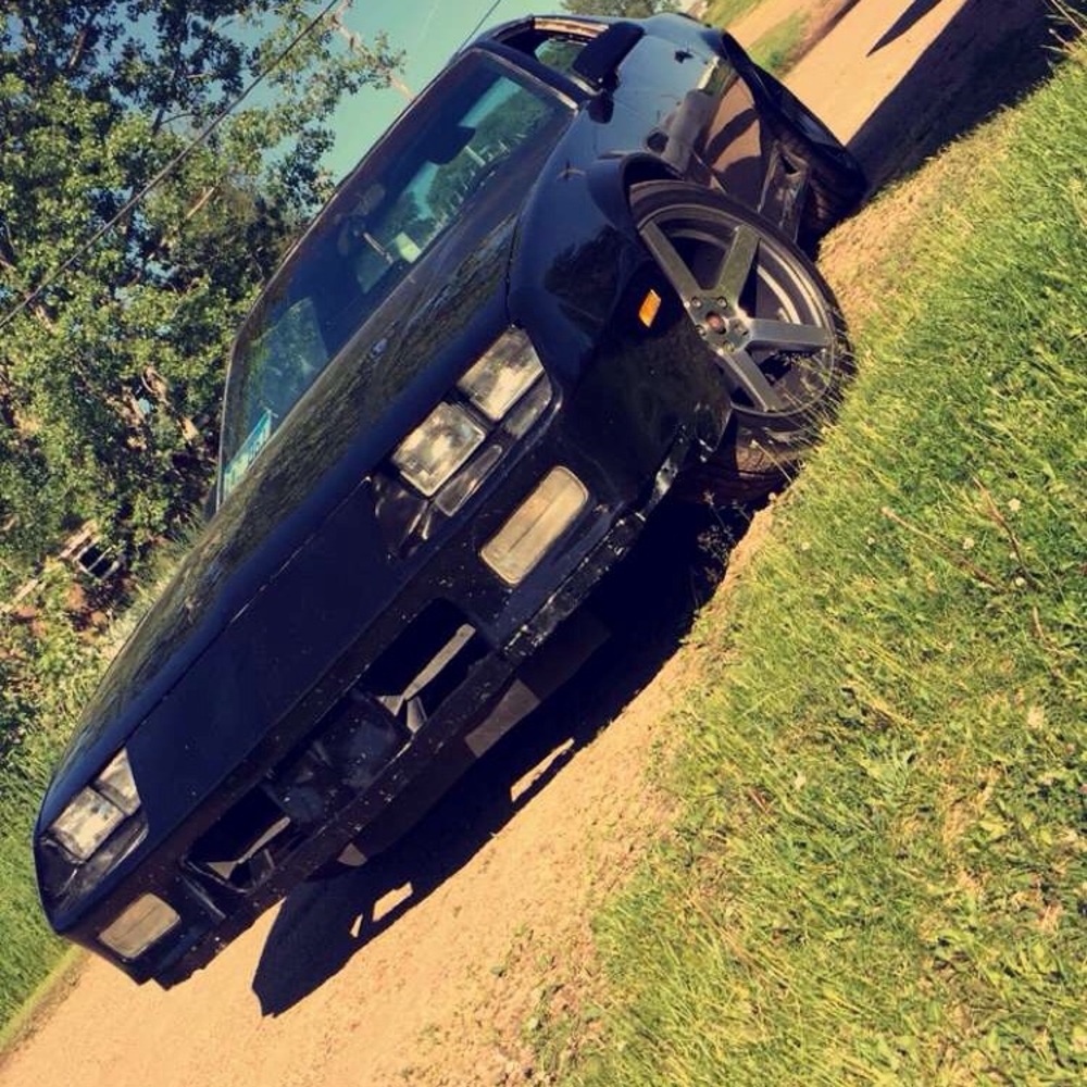 Meet your Posher, Zeya